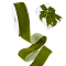 10 Yards Single Face Velvet Ribbons, for Bowknot Making, Gift Wrapping, Party Decoration, Dark Olive Green, 1-1/2 inch(38mm), about 10.00 Yards(9.14m)/Roll