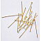 Iron Flat Head Pins, Cadmium Free & Nickel Free & Lead Free, Golden, 40x0.75~0.8mm, about 6400pcs/1000g