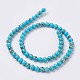 Sea Shell and Synthetic Turquoise Assembled Beads Strands G-G758-04-8mm-2