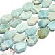 Chapelets de perles en amazonite naturelle G-O178B-06-1