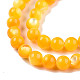 Natural White Shell Beads Starnds SSHEL-N003-144E-B01-3