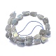 Natural Labradorite Beads Strands G-G764-10-2