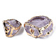 Plated Natural Amethyst Beads G-T133-20-3