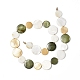 Brins de perles de coquille d'eau douce naturelles peintes par pulvérisation SHEL-C003-03-2