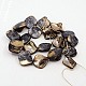 Natural Freshwater Shell Beads Strands S00EA-20x21mm-M-3