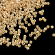 MIYUKI Delica Beads SEED-R015-1561-1