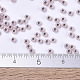 MIYUKI Round Rocailles Beads X-SEED-G007-RR0198-4