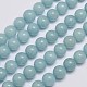 Natural & Dyed Malaysia Jade Bead Strands G-A146-10mm-A25-1