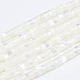 Chapelets de perles de coquille de trochid / trochus coquille X-SSHEL-L016-13A-1