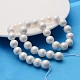 Polished Shell Pearl Round Beads Strands SP12MM701-2