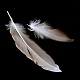 Accesorios de disfraces de plumas de pollo X-FIND-Q046-04-3