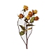 Autocollants décoratifs auto-adhésifs pour plantes en pet AJEW-Q146-01G-2