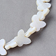 Natural Sea Shell Beads Strands X-SSHEL-Q296-38-2