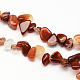 Natural Red Agate Stone Bead Strands G-R222-16-1