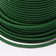 Eco-Friendly Braided Leather Cord WL-E016-3mm-23-2
