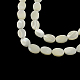 Ovale natürliche Perlenstränge aus Trochidenmuschel/Trochusmuschel SSHEL-F290-22-1