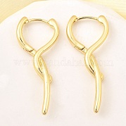 Серьги-кольца из латуни EJEW-Z121-12G