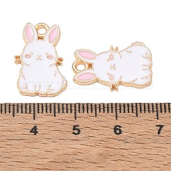 Pendentifs d'émail en alliage&nbsp;AL-CBA547F-01B
