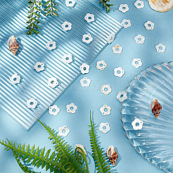 50 шт. подвески в виде пресноводных ракушек&nbsp;FIND-AR0002-55