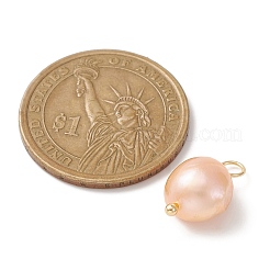 Природные пресноводные жемчужные подвески PALLOY-JF02153-03