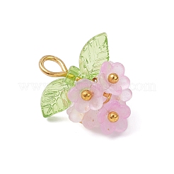 Прозрачные акриловые подвески&nbsp;PALLOY-JF04669