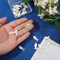 20pcs natürliche Muschelanhänger&nbsp;SHEL-CO0001-01