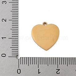 Подвески из нержавеющей стали 304 с эмалью&nbsp;LS-STAS-K312-07E-G