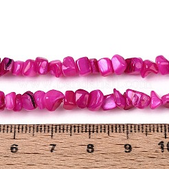 Нити бусин из натуральных пресноводных ракушек&nbsp;SHEL-N037-04E