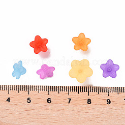 Прозрачные акриловые бусины PL554-M