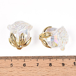 Уф-покрытие прозрачные акриловые бусины MACR-C029-06B-01