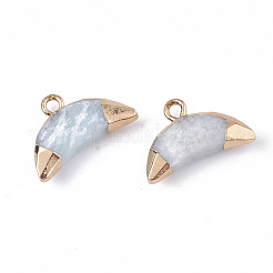 Natürliche amazonite Anhänger / charms galvanisieren&nbsp;G-S344-48K