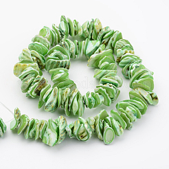 Conchiglia naturale fili di perle&nbsp;X-BSHE-P010-05