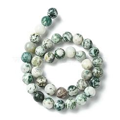 Натуральные древесные агатовые круглые бусины из драгоценных камней&nbsp;G-R255-10mm