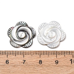 Rose schwarz Lippe Shell Cabochons&nbsp;SSHEL-E553-09