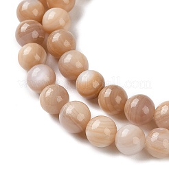 Натуральная розовая оболочка из бисера пряди SHEL-D002-A01-6mm