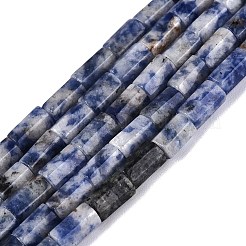 Perles de jaspe tache bleue naturelle&nbsp;GG-N002-01A-25