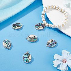 6 шт. подвески из натуральной ракушки пауа с ионным покрытием (IP) KK-BBC0005-41