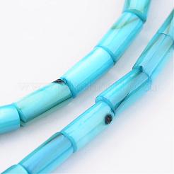 Природные оболочки нитей бисера BSHE-P016-M