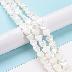 Нити бусин из натуральной ракушки трохус&nbsp;SSHEL-H070-06C