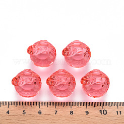 Прозрачные акриловые подвески&nbsp;TACR-T024-05B-910