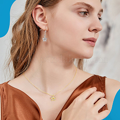 20 шт. 2-х цветная латунь с подвесками из кубического циркония KK-PH0012-42