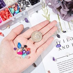 Бусины из драгоценных камней и крашеные бусины из ракушек G-NB0001-50