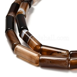 Окрашенные естественный агат бисер пряди G-G203-01E