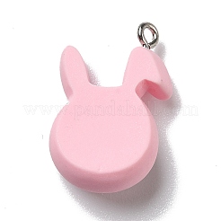 Подвески из непрозрачной смолы&nbsp;LS-RESI-D055-040P