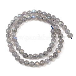 Природные лабрадорита бисер нитей&nbsp;G-H337-A02-03