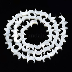 Нити бусин из натуральных трохоидных/трохус ракушек SSHEL-S266-025A-01