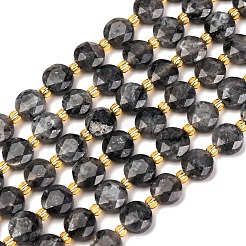 Натуральные нити бус из ларвикита G-C116-A30-02