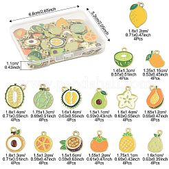 60 шт. 15 стиля фруктовых сплавов эмалевых подвесок&nbsp;ENAM-FS0003-54