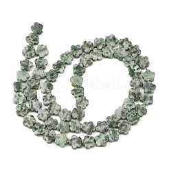 Natürliche grüne Fleck Jaspis Perlen Stränge&nbsp;G-B138-C24-01