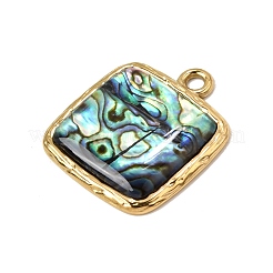 Pendentifs en acier inoxydable 304 et nacre d'ormeau naturelle&nbsp;SH-CBA7184-01G-G